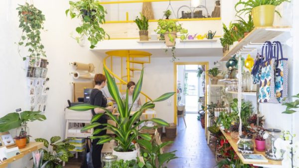 best online plant shop