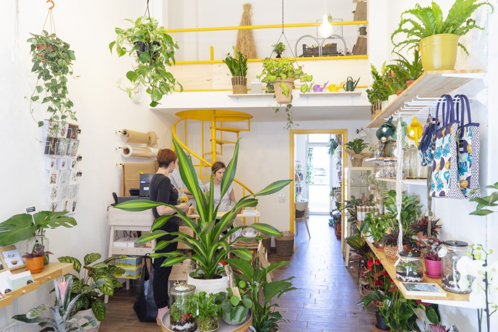 best online plant shop